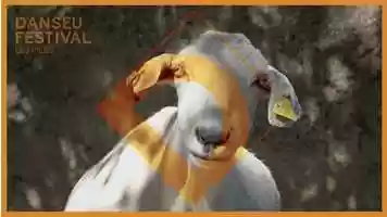 Free download Danseu Festival 2019 [OFFICIAL VIDEO] video and edit with RedcoolMedia movie maker MovieStudio video editor online and AudioStudio audio editor onlin